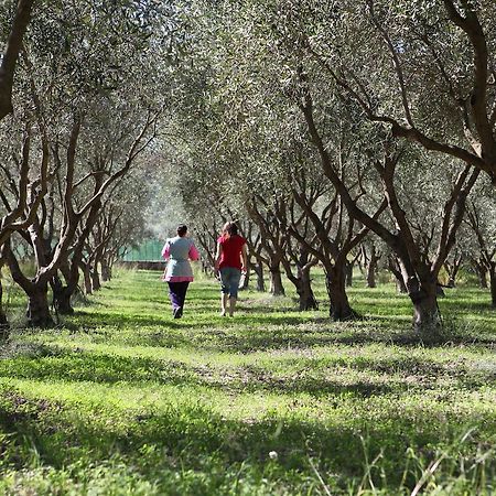 Agriturismo A'Sena-Runcatini Cimina Экстерьер фото